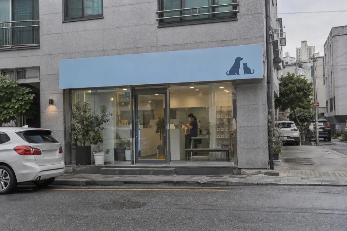 동물병원 예시 이미지 · 실제 업체 사진 아님