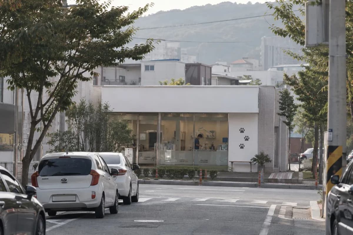 동물병원 예시 이미지 · 실제 업체 사진 아님
