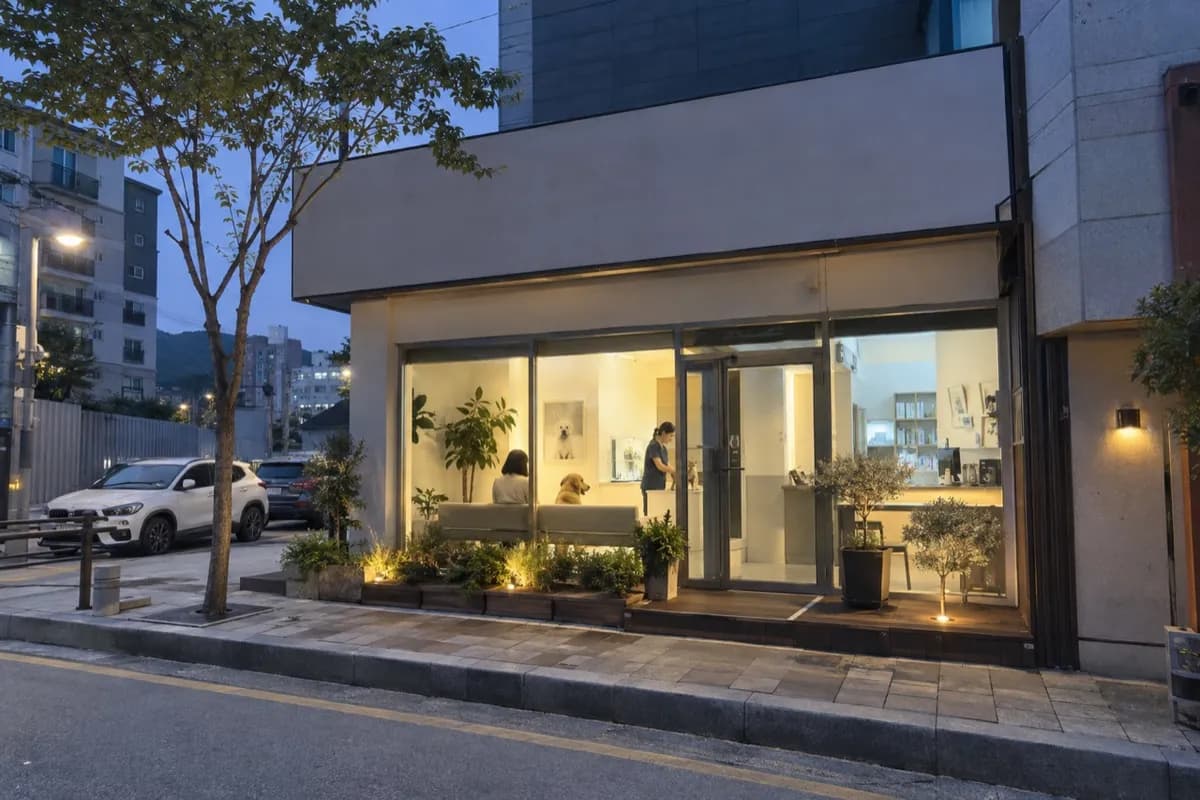 동물병원 예시 이미지 · 실제 업체 사진 아님