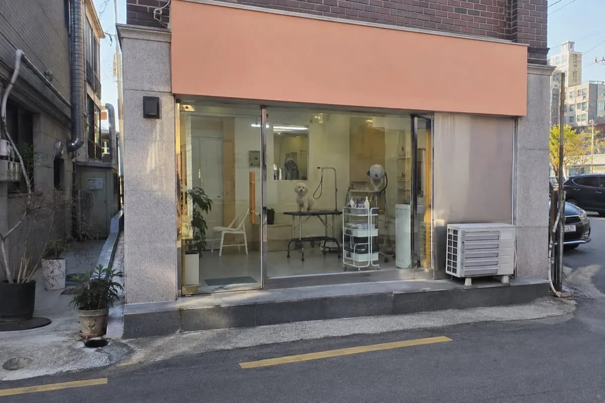 애견미용 예시 이미지 · 실제 업체 사진 아님