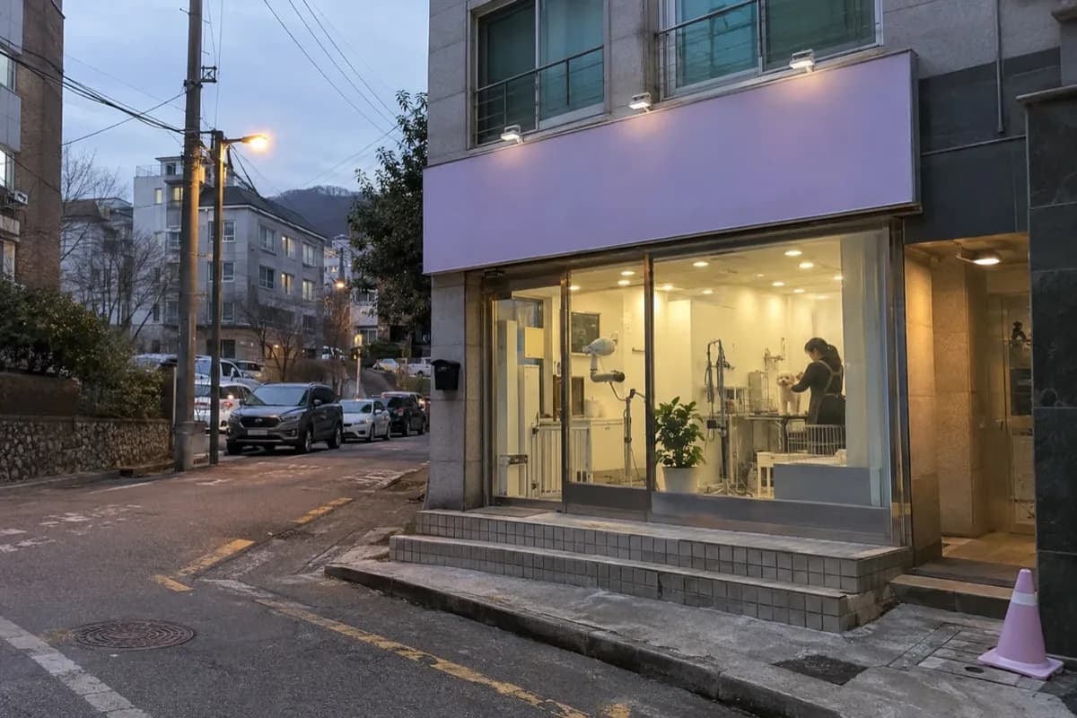 애견미용 예시 이미지 · 실제 업체 사진 아님